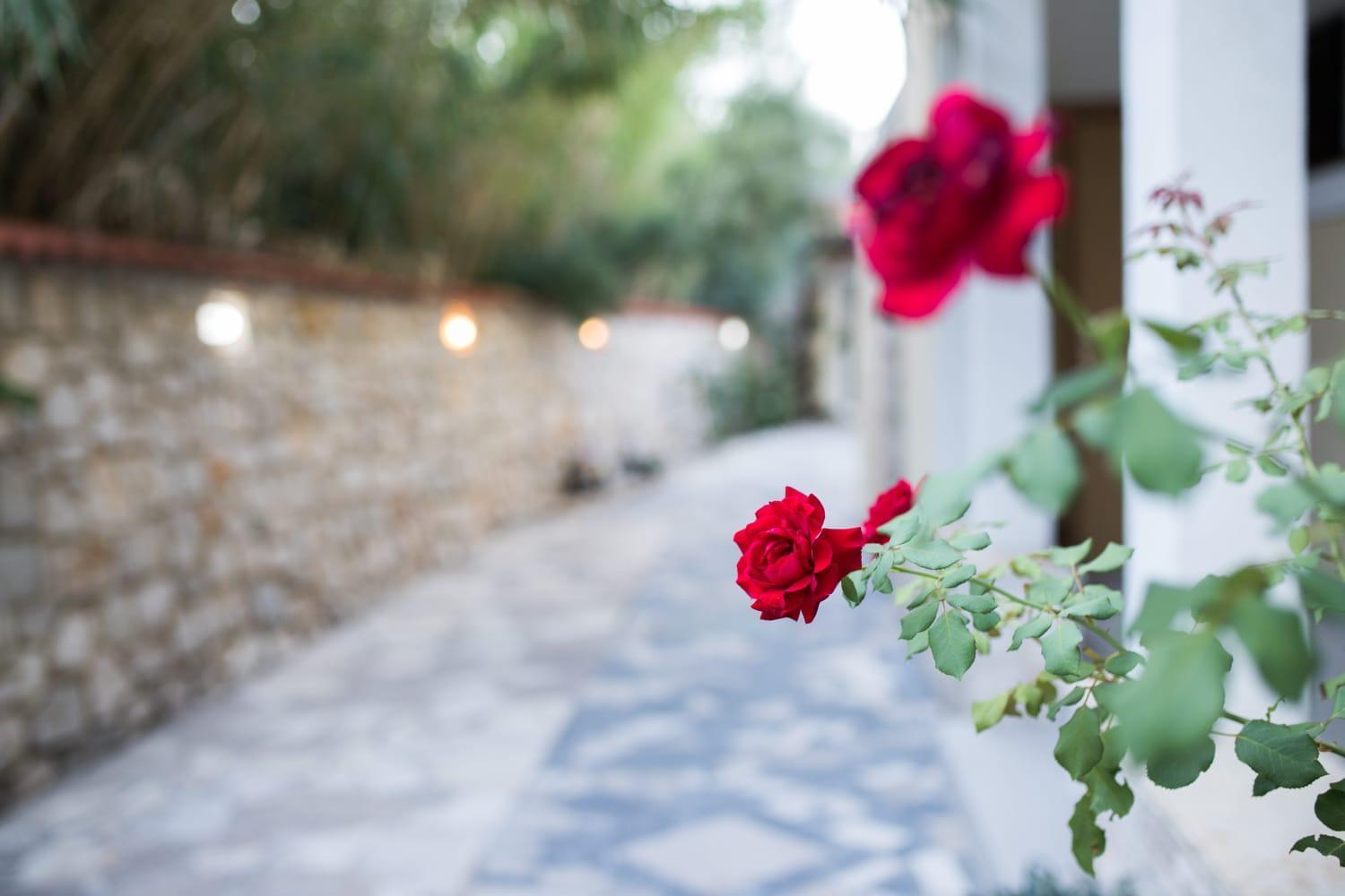 Mb Pag Bed&Breakfast Pag Town Buitenkant foto